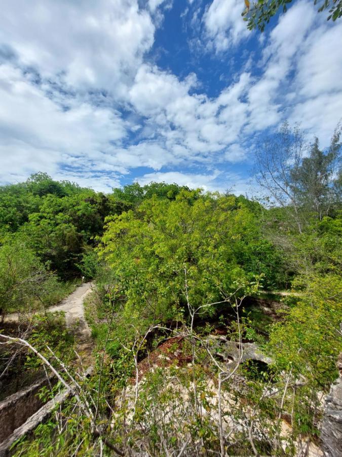 Gosana Eco Nature Hotel Kilifi Kültér fotó